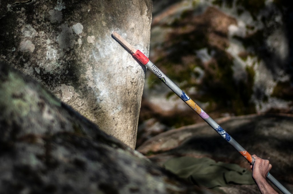 Vers une pratique durable de l’escalade en forêt