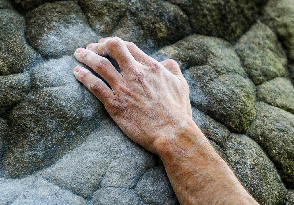 Surfréquentation de la forêt de Fontainebleau : Un défi pour les grimpeurs et l’environnement